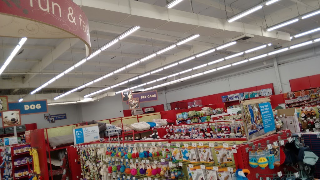 Petco | 160 E El Camino Real, Sunnyvale, CA 94087, USA | Phone: (408) 774-0171