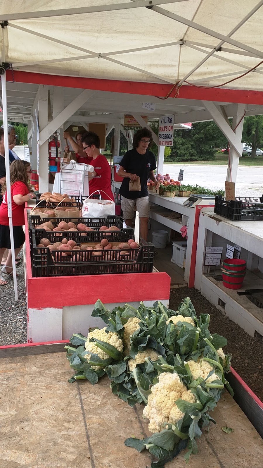 Irmas Family Farm Fresh Vegetables and Wreaths | 42458 Dequindre Rd, Sterling Heights, MI 48314, USA | Phone: (586) 731-8255