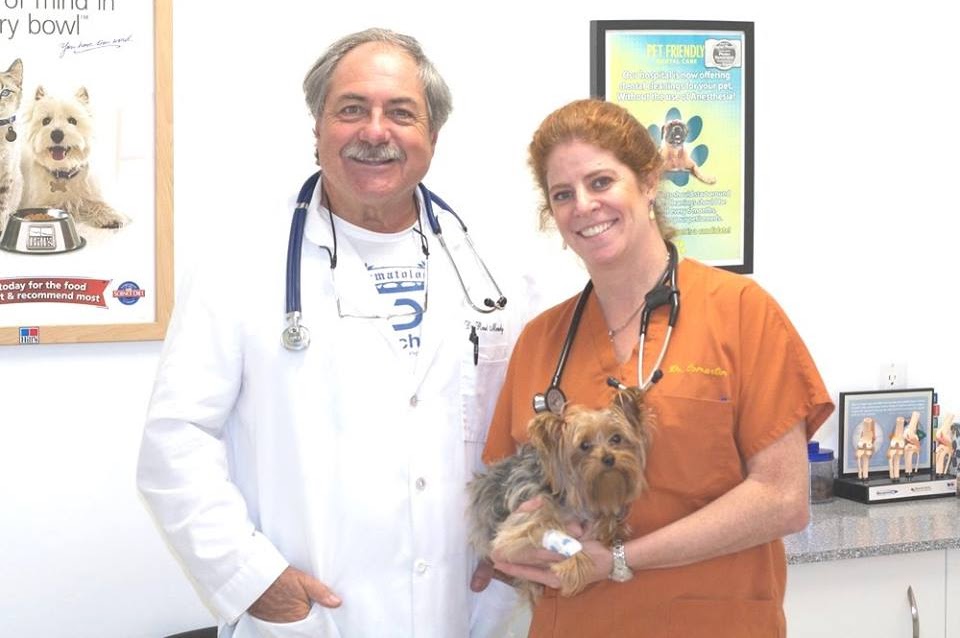 Cooper City Animal Clinic | 9516 Griffin Rd, Cooper City, FL 33328, USA | Phone: (954) 434-6166