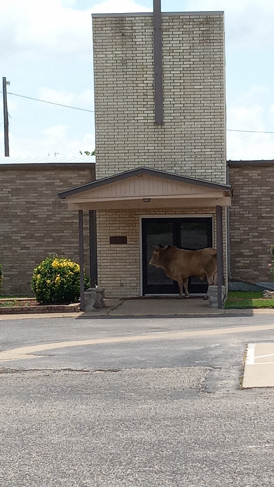 St. Jude Catholic Church | 172 Luther Ln, Gun Barrel City, TX 75156, USA | Phone: (903) 887-1452