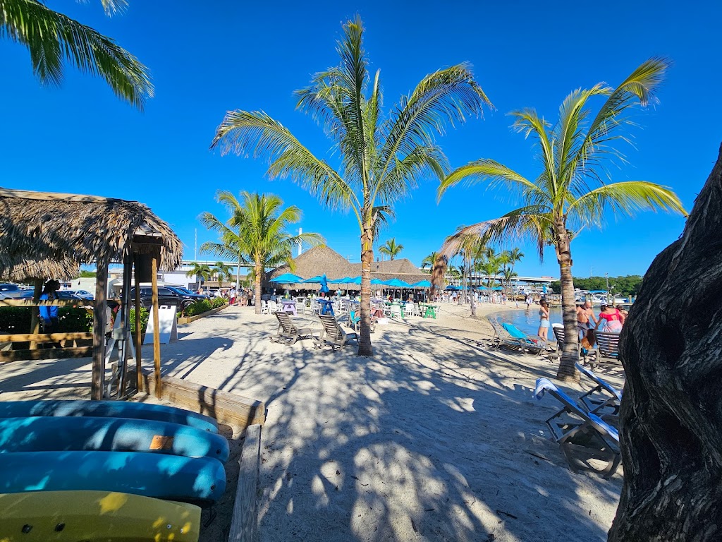 Gilberts Resort | 107900 Overseas Hwy, Key Largo, FL 33037, USA | Phone: (305) 451-1133