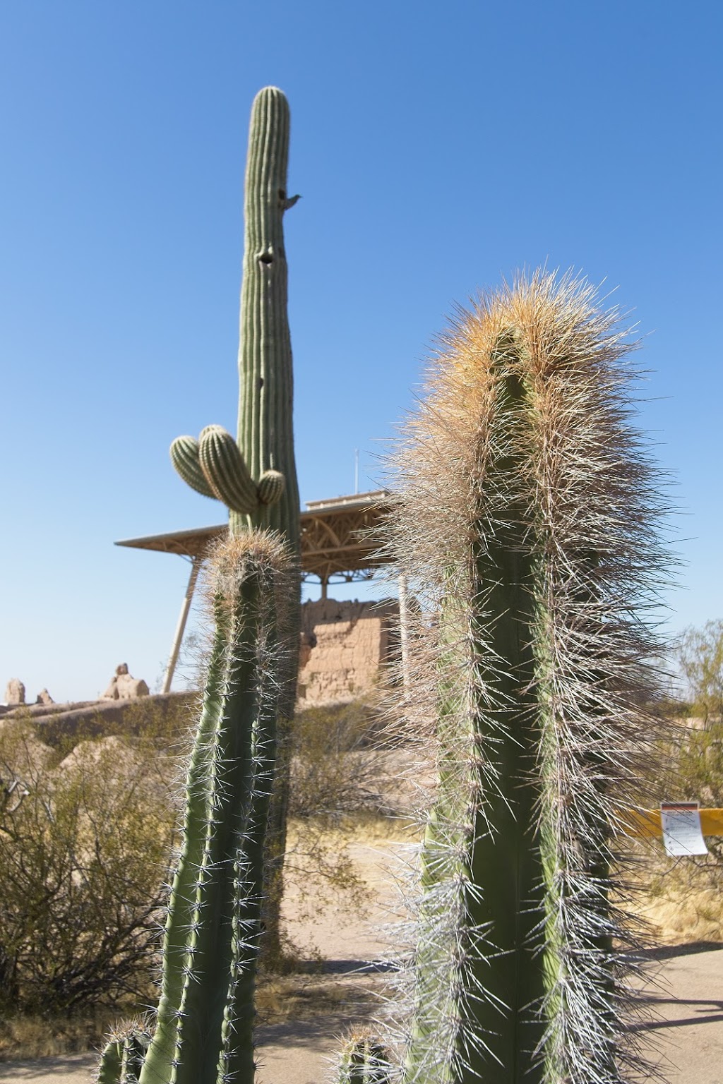 Casa Grande Ruins National Monument | 1100 W Ruins Dr, Coolidge, AZ 85128, USA | Phone: (520) 723-3172