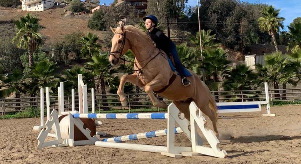 Windsor Equestrian Center | 12307 Willow Rd, Lakeside, CA 92040, USA | Phone: (619) 334-4777