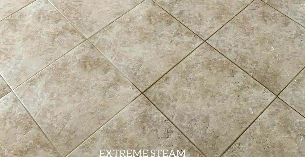 Extreme Steam Inc | 509 Carolyne St, Temple Terrace, FL 33617, USA | Phone: (813) 448-2872