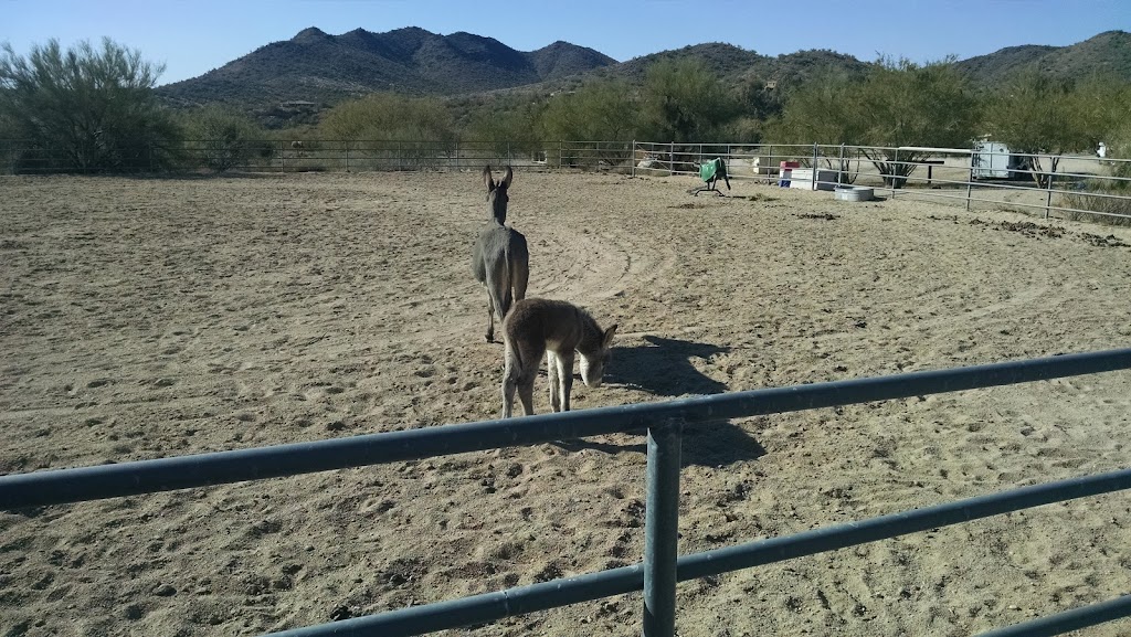 P. A. Seitts Preserve | Slate Trail, Cave Creek, AZ 85331, USA | Phone: (480) 488-6131