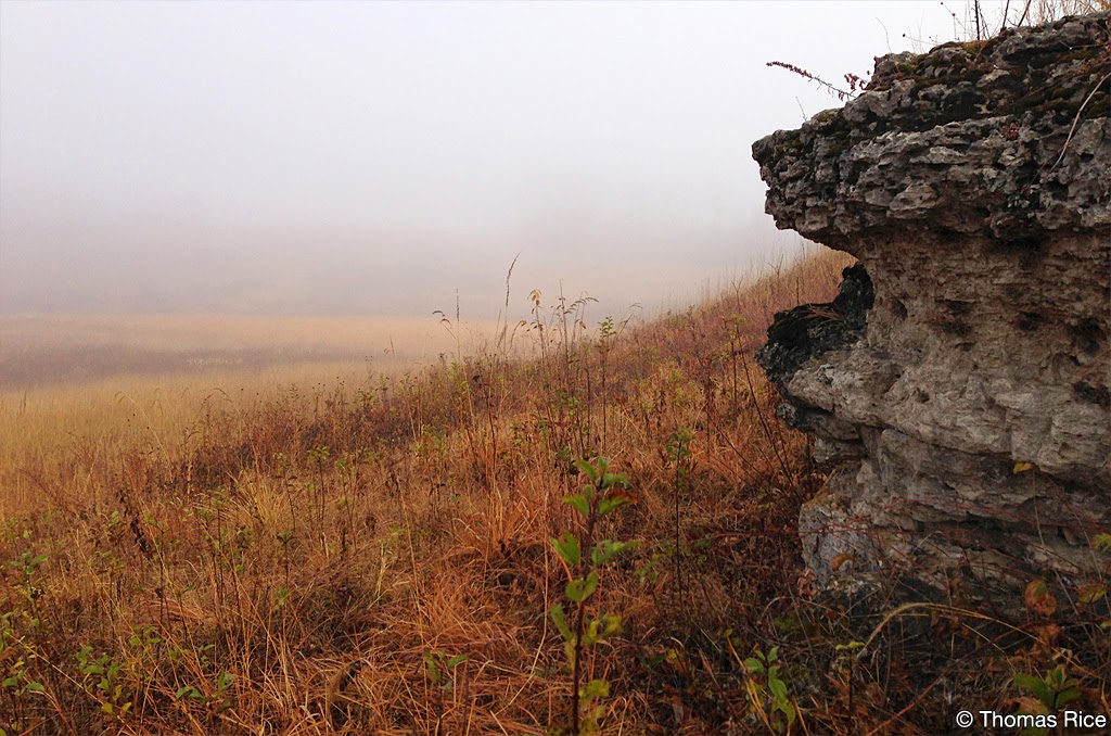 Lost Valley Prairie Scientific and Natural Area (SNA) | Nyberg Ave S, Hastings, MN 55033, USA | Phone: (651) 259-5800