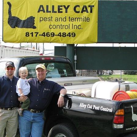 Alley Cat Pest & Termite Inc | N Main St, Springtown, TX 76082, USA | Phone: (817) 469-4849