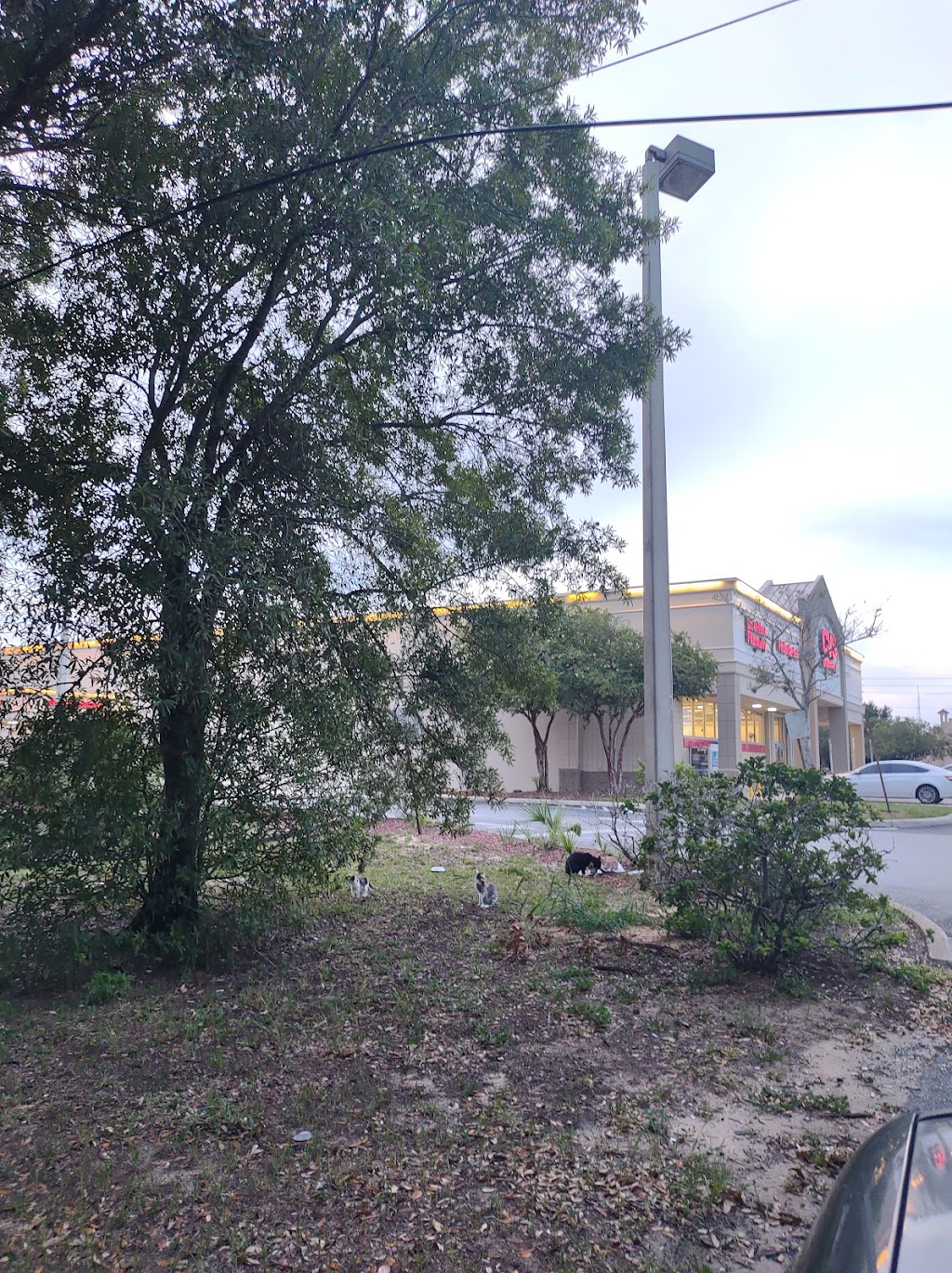 Groves Center | 512 S 11th St, Lake Wales, FL 33853, USA | Phone: (863) 676-8502