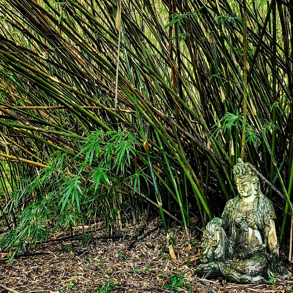 Lotus Pond Center for Yoga and Health | 6201 Lynn Rd, Tampa, FL 33625, USA | Phone: (813) 961-3160