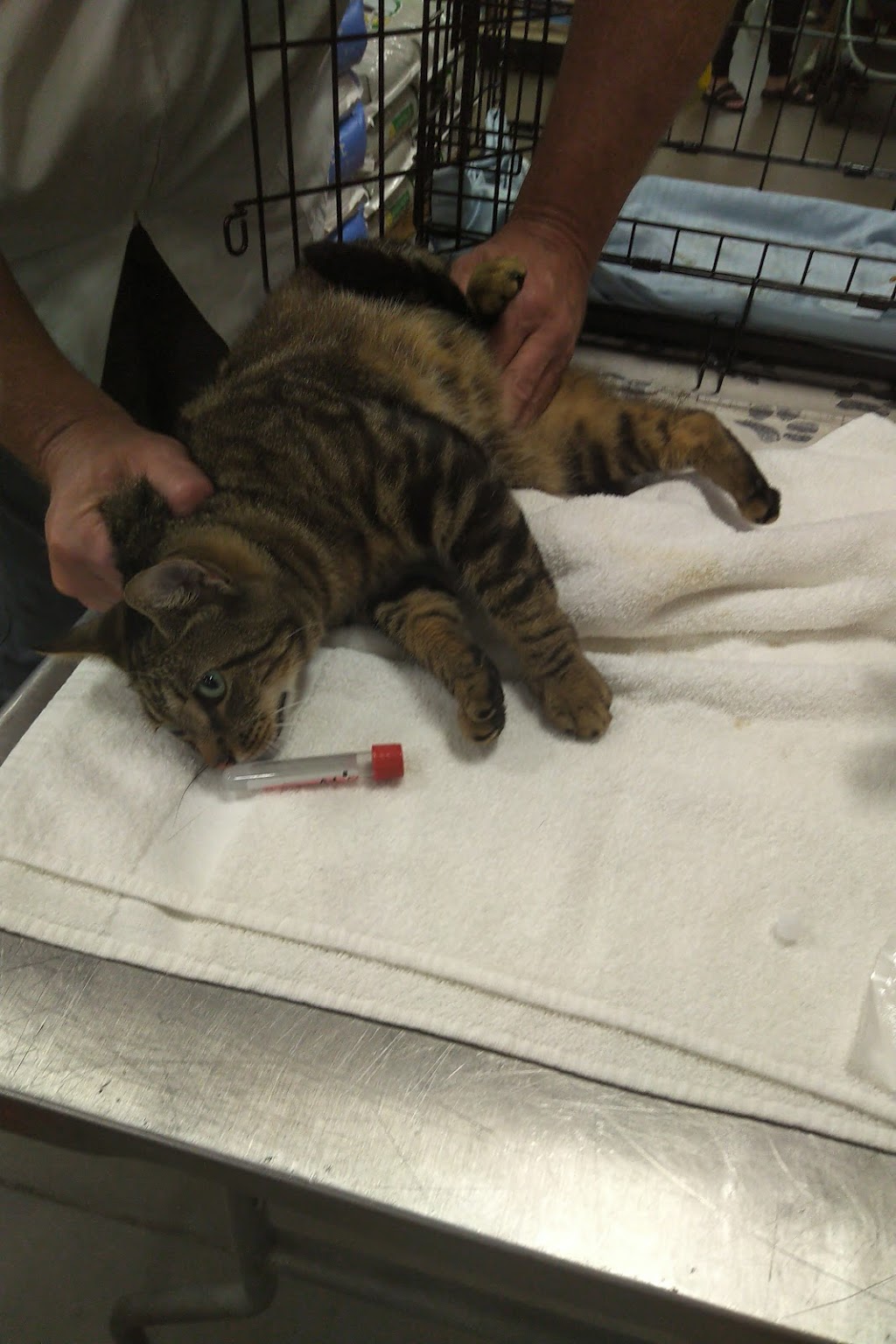 ProtectMyPet Vaccinations Clinic at Tractor Supply Co. | 115 Greystone Power Blvd, Dallas, GA 30157, USA | Phone: (770) 443-3352