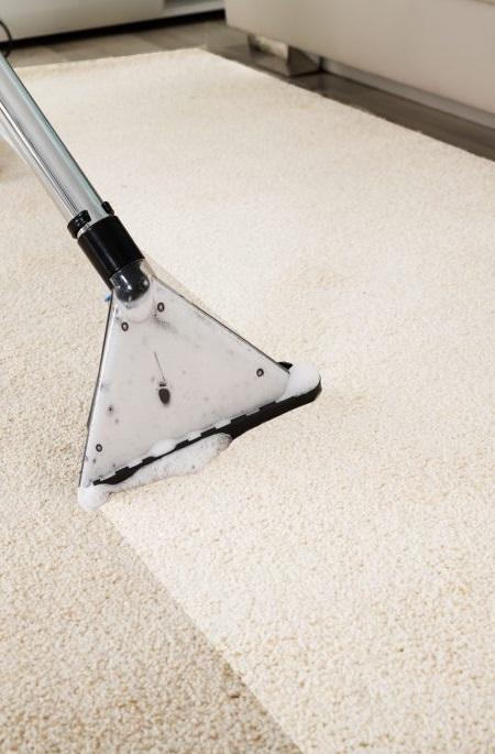 Rockwall Carpet Cleaning | 850 W Rusk St, Rockwall, TX 75087 | Phone: (972) 905-6426