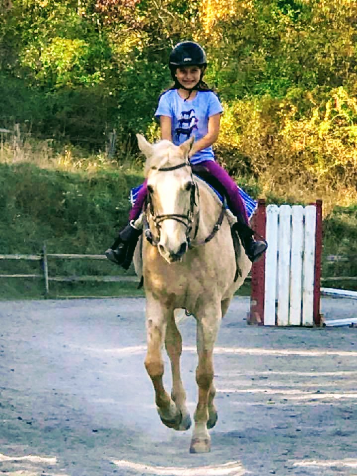 Spring Valley Stables Inc | 212 Warrendale Rd, Mars, PA 16046, USA | Phone: (724) 625-9003