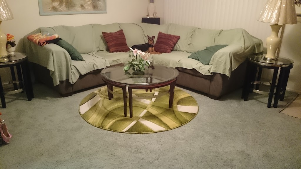 Far Beyond Rails LLC | 6541 Silverbell Dr, New Port Richey, FL 34653, USA | Phone: (407) 928-8120