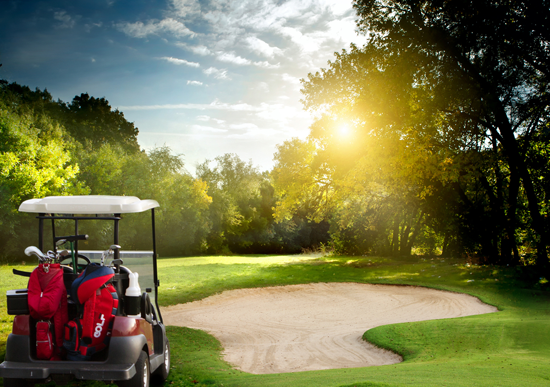 Golf Car Services | 18233 Renton-Maple Valley Rd, Maple Valley, WA 98038, USA | Phone: (206) 295-4067