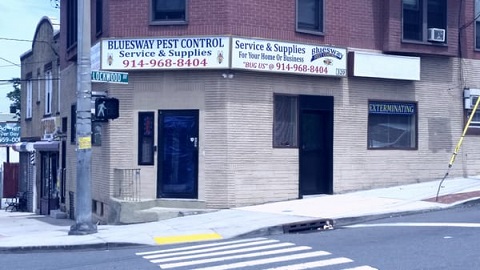 Bluesway Pest Control | 320 Saw Mill River Rd, Yonkers, NY 10701, USA | Phone: (914) 968-8404