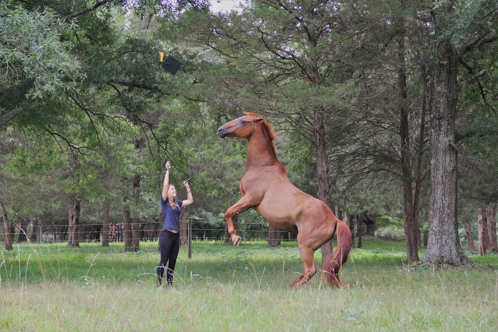 Cool Creek Farm | 738 Castle Rock Farm Rd, Pittsboro, NC 27312, USA | Phone: (919) 542-3862