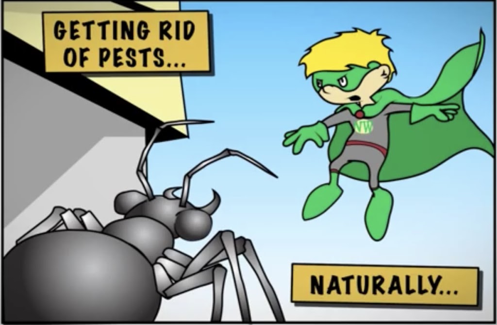 Natures Way Pest Control - Albany NY | 36 Vly Rd, Albany, NY 12205, USA | Phone: (518) 401-0022
