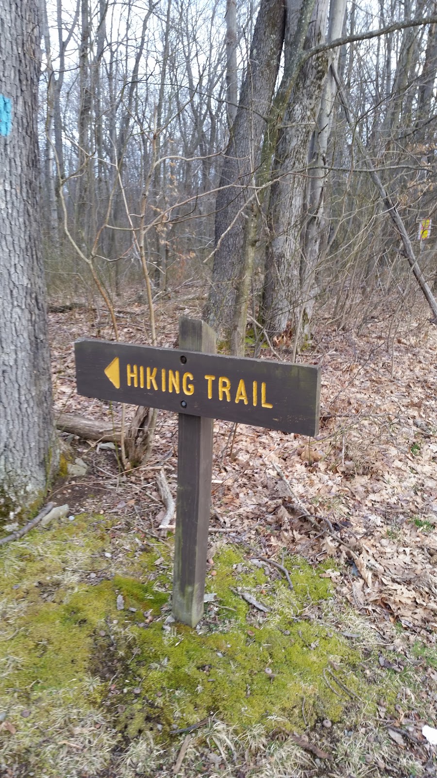 Laurel Highlands Hiking Trailhead Mile 0 | Dunbar, PA 15431, USA | Phone: (724) 455-3744