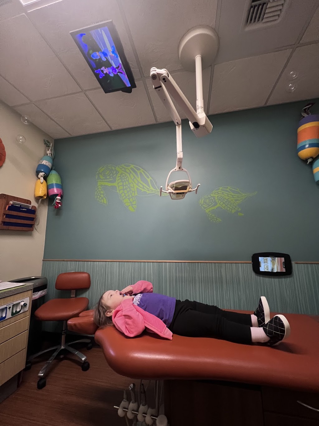 Kitsap Kids Dentistry | 1358 NE McWilliams Rd, Bremerton, WA 98311, USA | Phone: (360) 698-3242