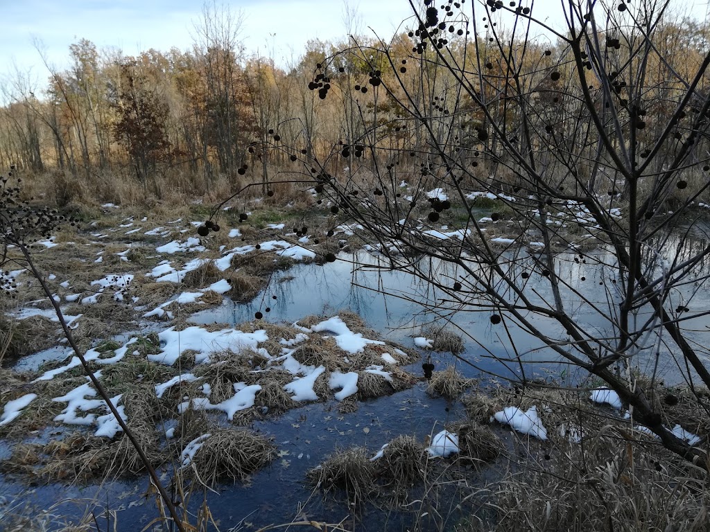 Edison Woods MetroPark | 10186 Ceylon Rd, Berlin Heights, OH 44814, USA | Phone: (419) 625-7783