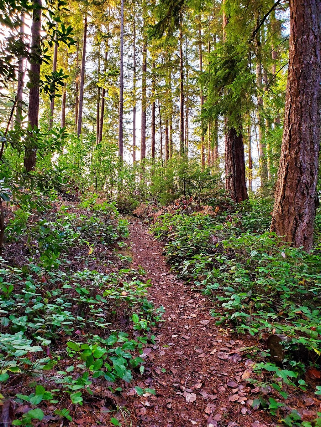 Strandberg Preserve | 19101 17th Ave NW, Shoreline, WA 98177, USA | Phone: (206) 801-2600