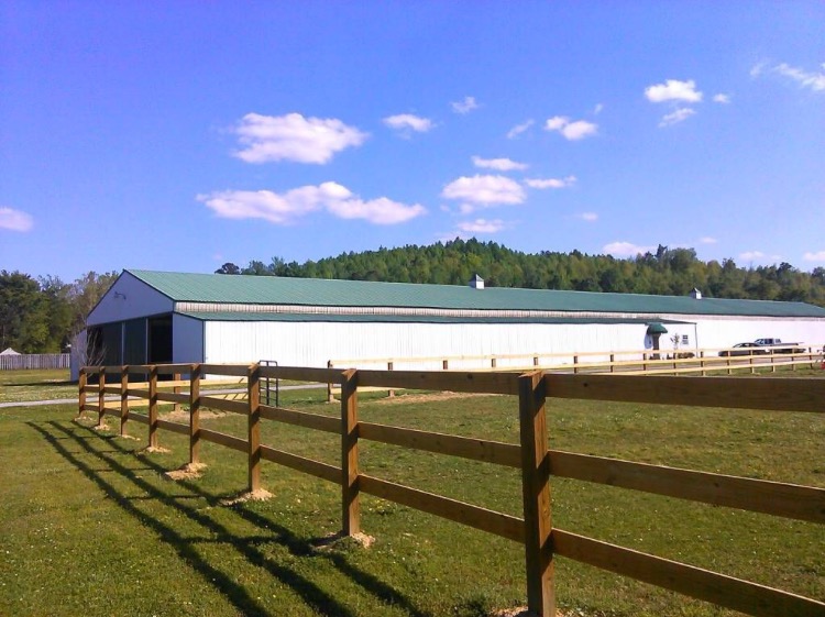 Starlite Stables | 1426 Blair Farm Rd, Odenville, AL 35120, USA | Phone: (205) 790-6792