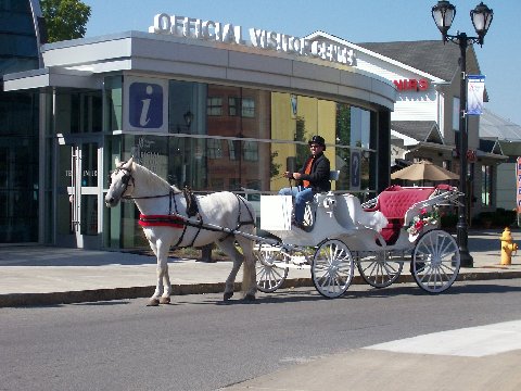 International Weddings & Carriage Rides | 1767 Ridge Rd, Lewiston, NY 14092, USA | Phone: (716) 754-7405