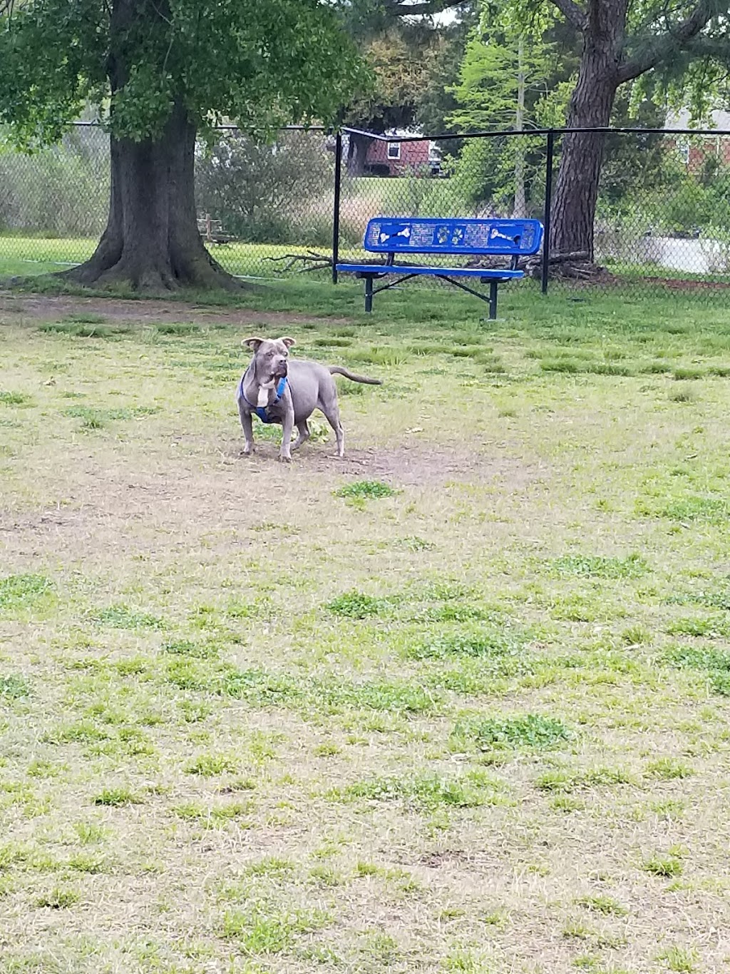 Ridgway Bark Park | 85 E Mercury Blvd, Hampton, VA 23669, USA | Phone: (757) 727-6348