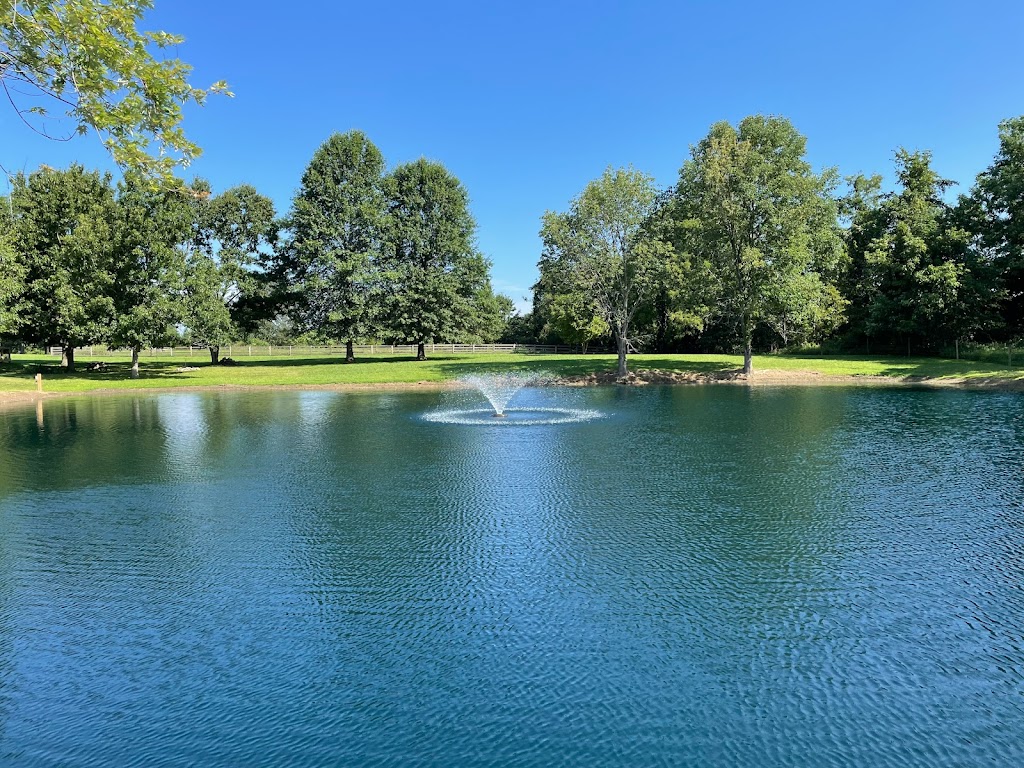Bellus Aquatic Solutions | 9466 Moody Rd, Moores Hill, IN 47032, USA | Phone: (513) 283-3205