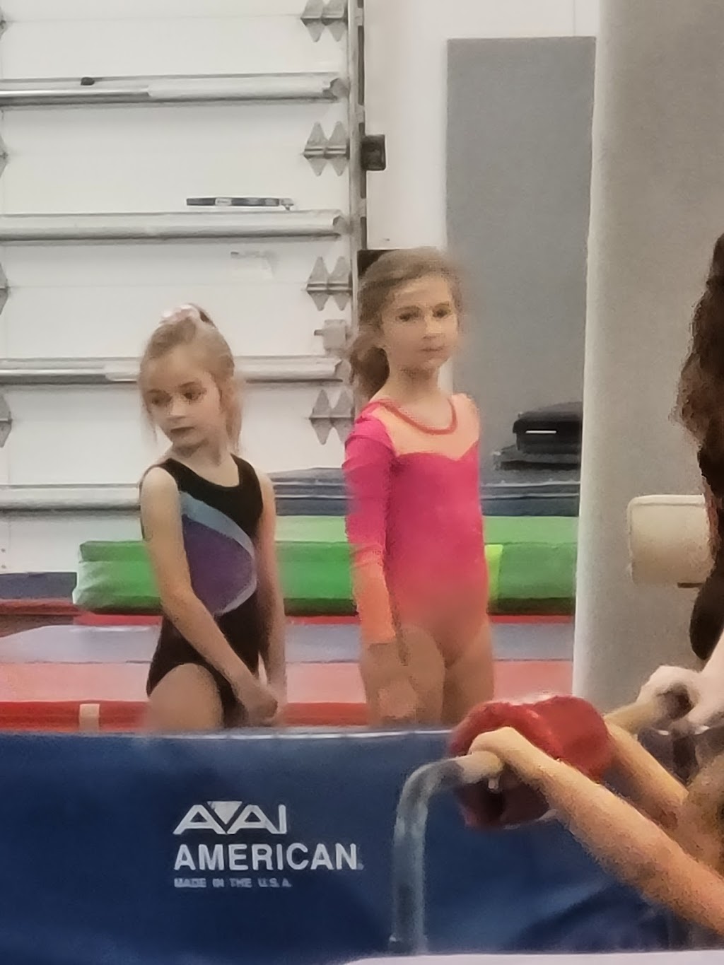 Premier Gymnastics | 27033 State Rd 56, Wesley Chapel, FL 33544, USA | Phone: (813) 973-9920