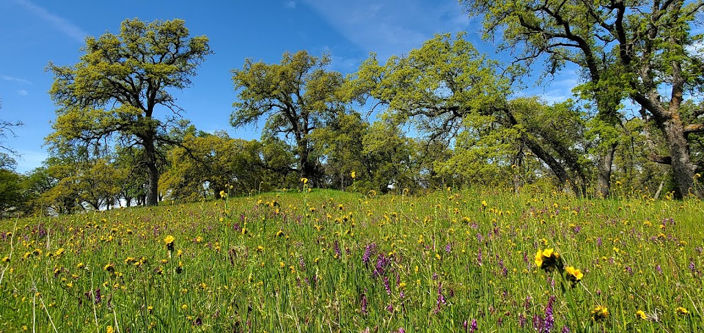 Folsom Point State Park | Folsom, CA 95630, USA | Phone: (916) 988-0205