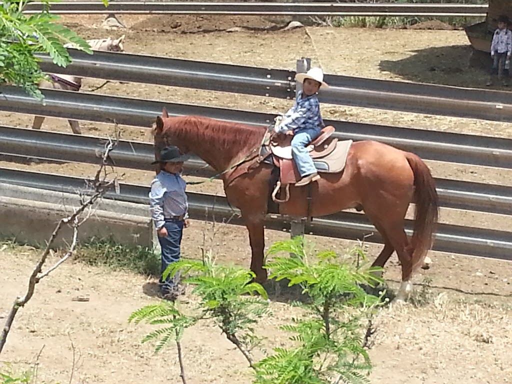 New Town & Country Stables | 41-1800 Kalanianaʻole Hwy, Waimanalo, HI 96795, USA | Phone: (808) 259-9941