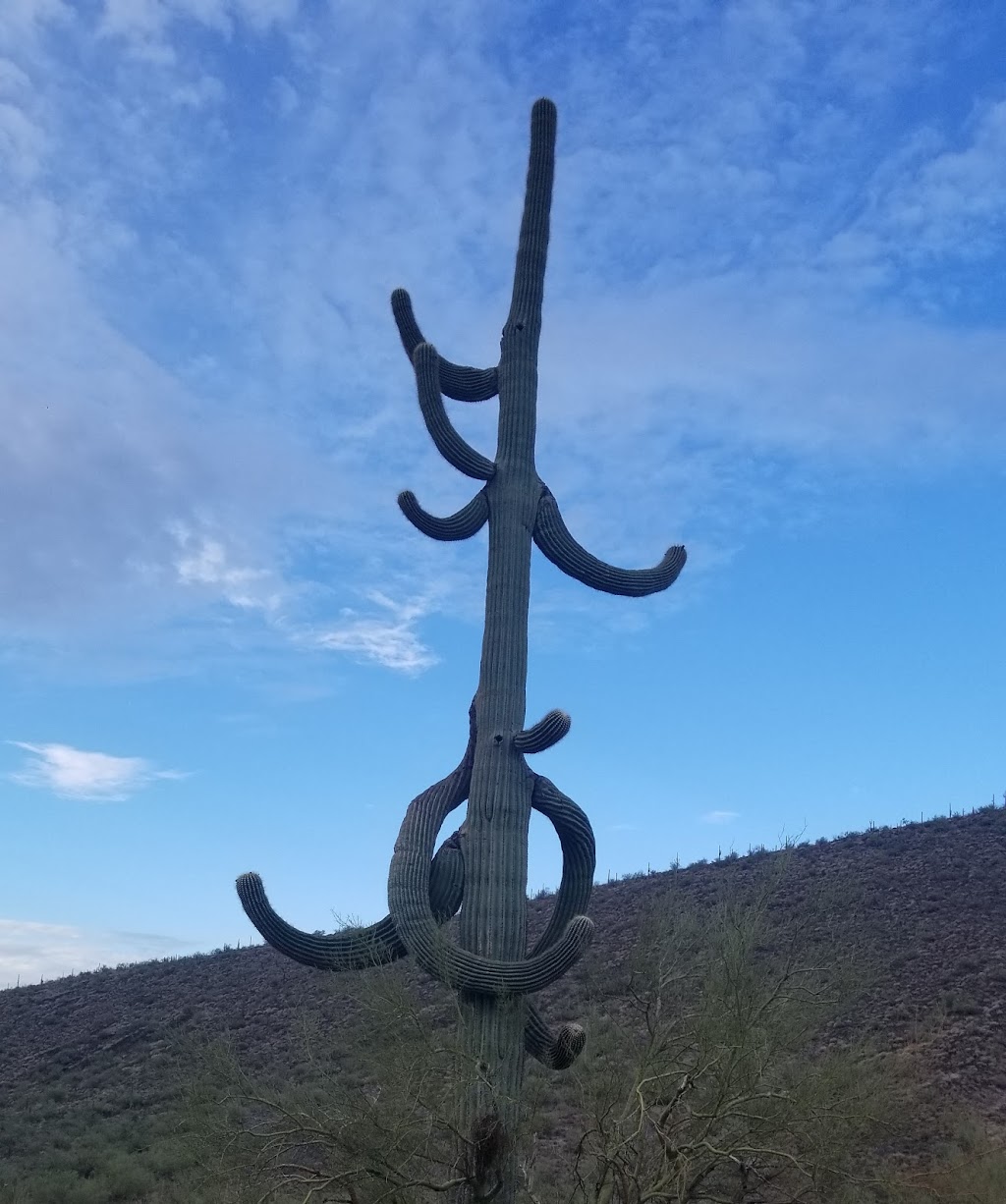 Pipeline Canyon Trailhead (North) | Castle Hot Spring Rd, Morristown, AZ 85342, USA | Phone: (602) 372-7460