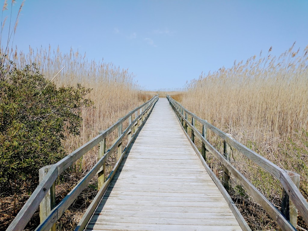 Back Bay National Wildlife Refuge | 4005 Sandpiper Rd, Virginia Beach, VA 23456, USA | Phone: (757) 301-7329