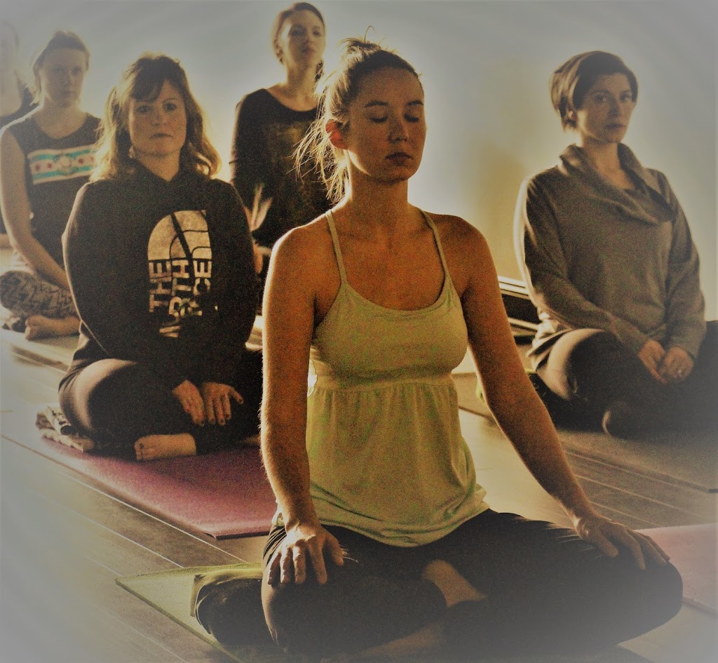 Karuna Yoga Buffalo | 1280 N French Rd, Buffalo, NY 14228, USA | Phone: (716) 432-5857