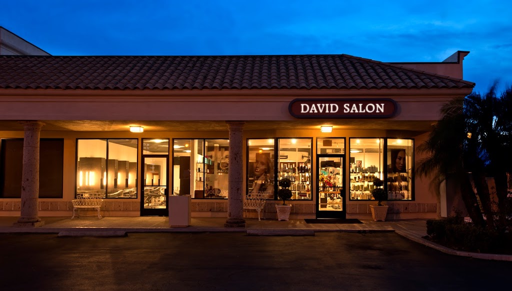 The David Salon | Country Side Center, 355 Bristol St d, Costa Mesa, CA 92626, USA | Phone: (714) 549-1160