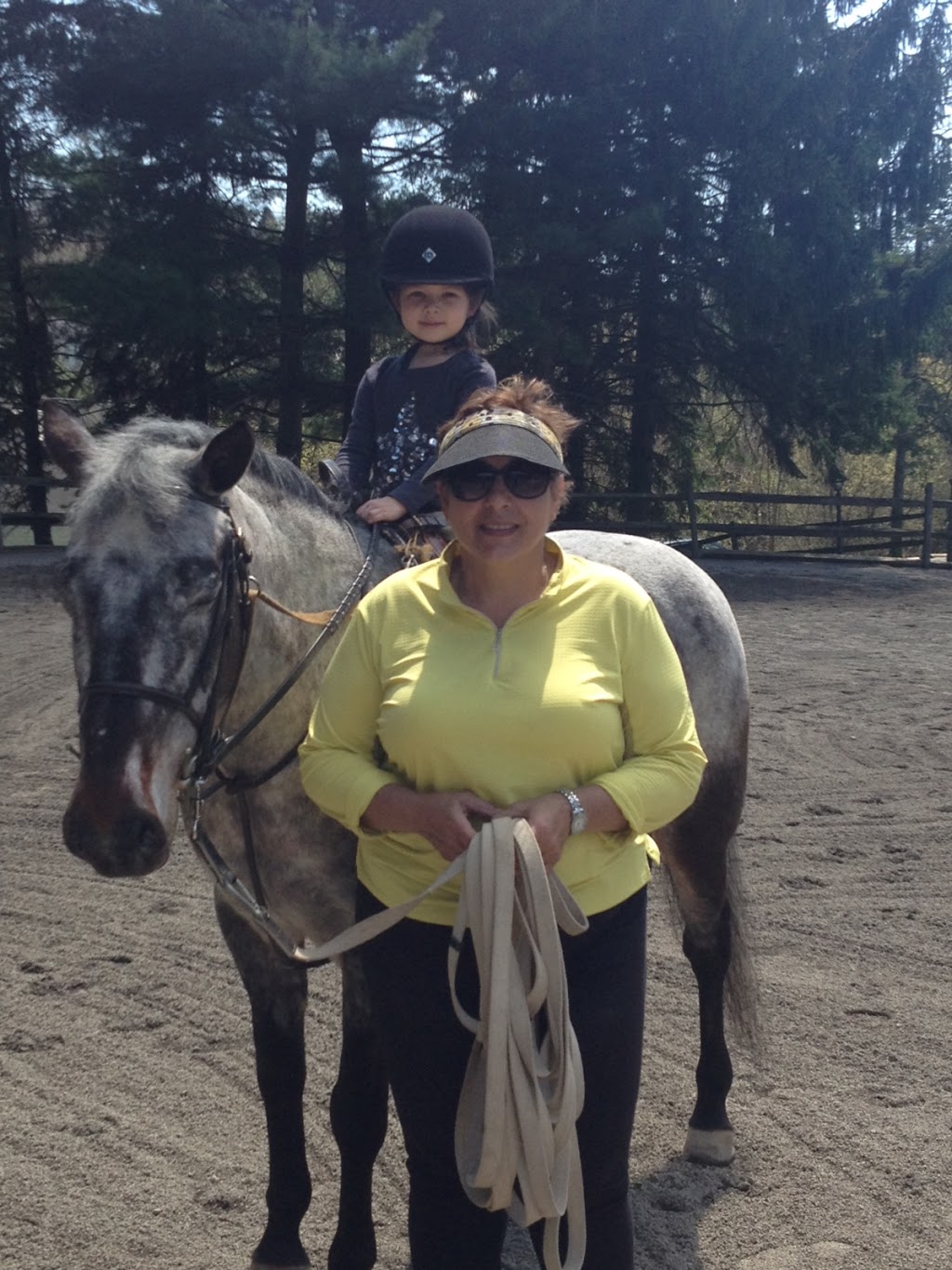 Spring Valley Stables Inc | 212 Warrendale Rd, Mars, PA 16046, USA | Phone: (724) 625-9003