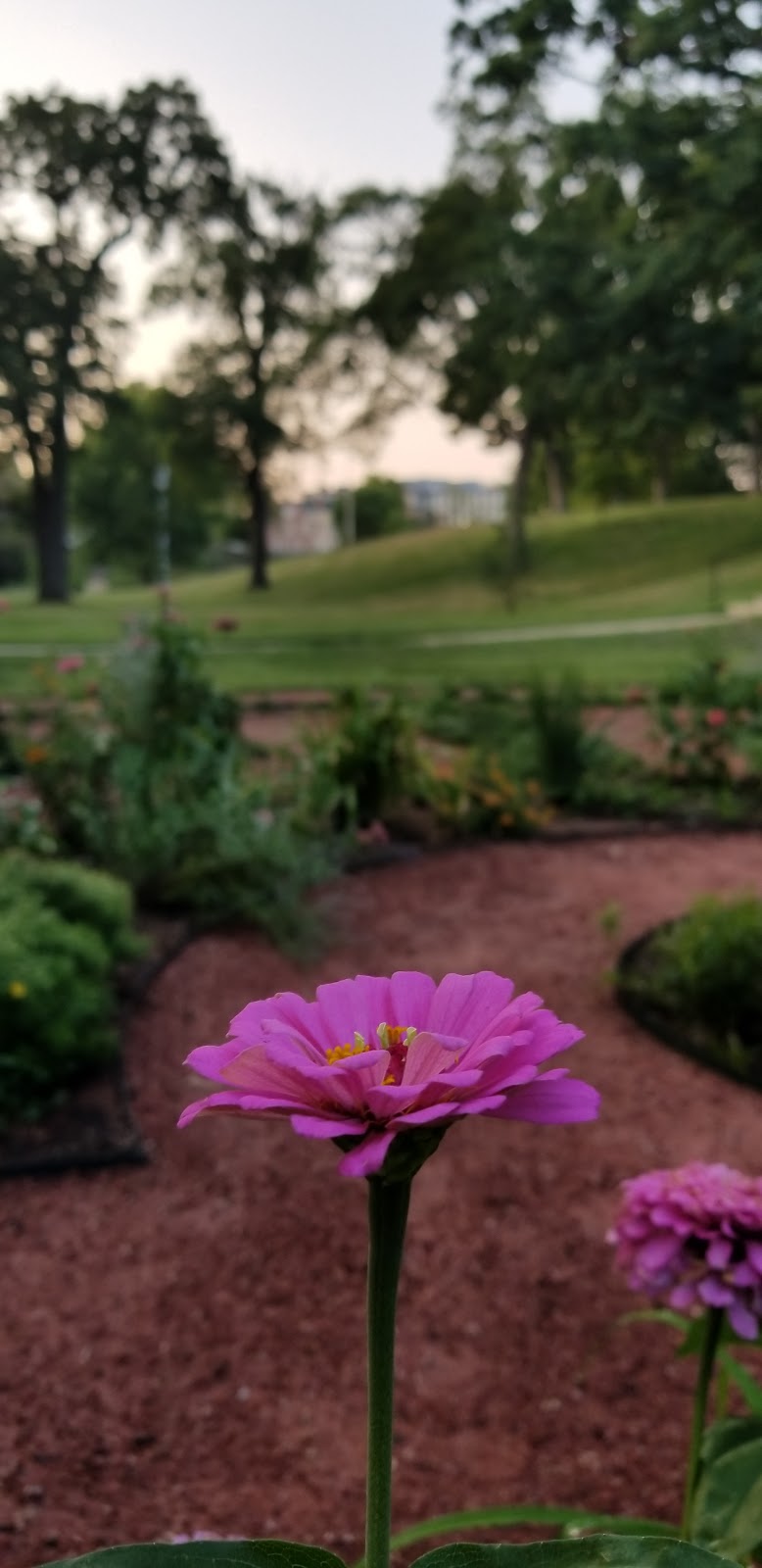 Pilgrim Labyrinth & Butterfly Garden | 3700 Gillham Rd, Kansas City, MO 64111, USA | Phone: (816) 753-6719