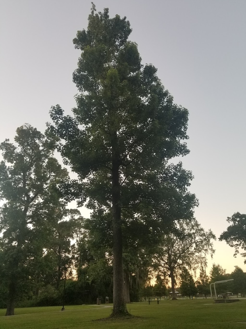 Forest Community Park | 13900 South Harrell, 13900 S Harrells Ferry Rd, Baton Rouge, LA 70816, USA | Phone: (225) 256-2849