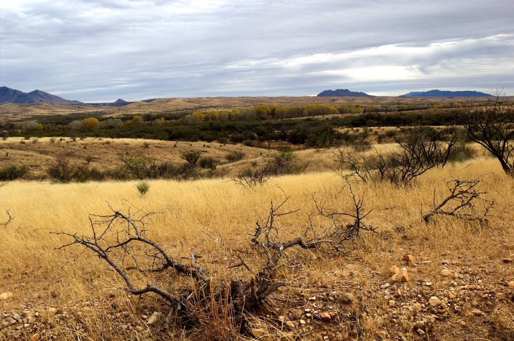 Las Cienegas National Conservation Area | 3201 E Universal Way, Tucson, AZ 85756, USA | Phone: (520) 258-7200