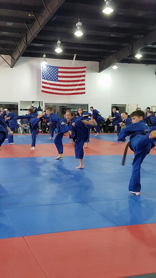 Bushi Ban Martial Arts & Fitness | 103 Davis Rd Suite V, League City, TX 77573, USA | Phone: (832) 632-1342