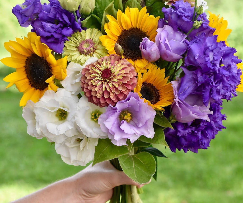 Piggly Petals Flower Farm | 46000 Harris Rd, Belleville, MI 48111, USA | Phone: (734) 787-7341