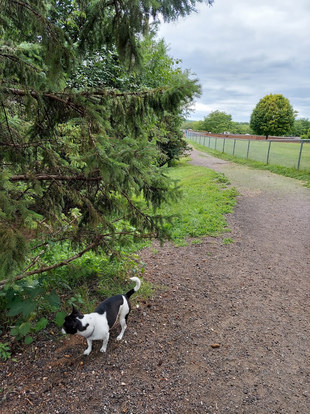 Edina Dog Park | Unnamed Road, Hopkins, MN 55343, USA | Phone: (952) 826-0367