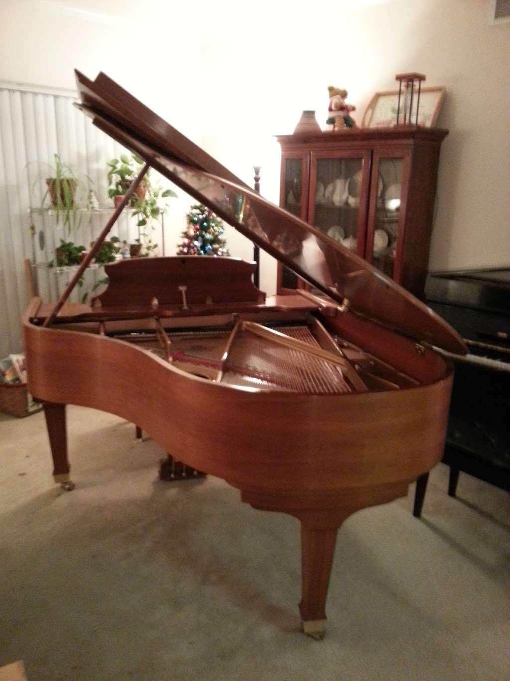 Traynor Piano and Voice | 6604 93rd St Apt. B, Overland Park, KS 66212, USA | Phone: (816) 289-7659