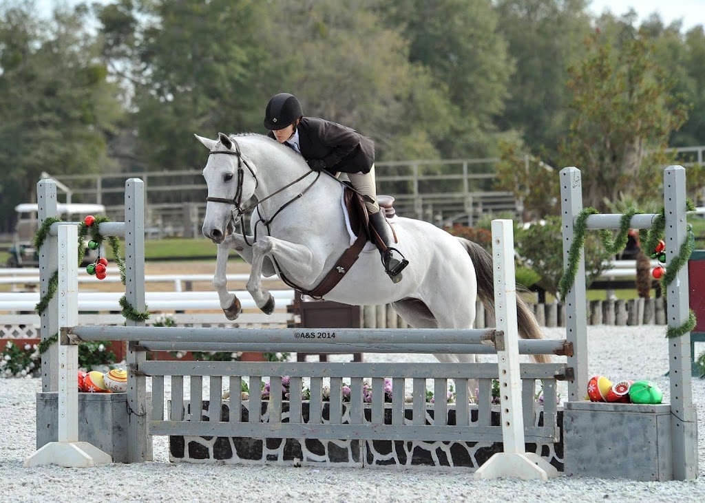 Lesley Cox Equestrian | 5807 Spencer Parrish Rd, Parrish, FL 34219 | Phone: (813) 416-0986