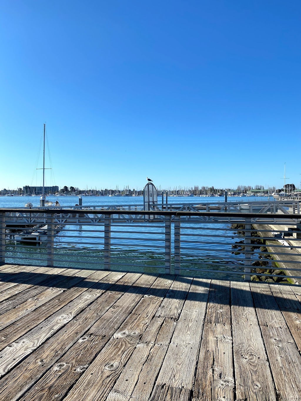 Estuary Park | Oakland, CA 94607, USA | Phone: (510) 238-7275