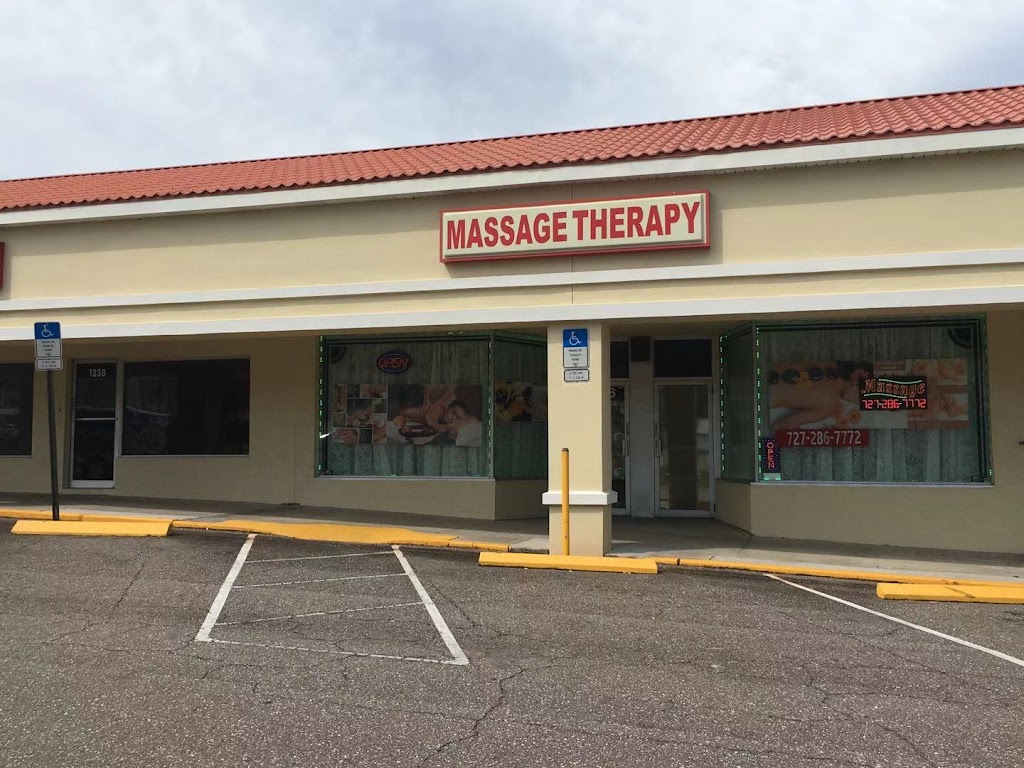 Sunshine Beach Spa | 1236 S Highland Ave, Clearwater, FL 33756, USA | Phone: (727) 286-7772