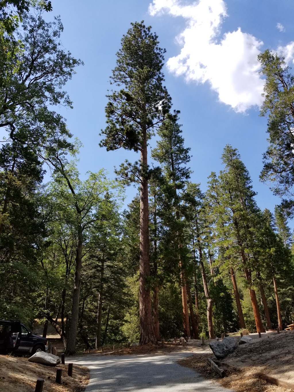 Dark Canyon Campground | Banning, CA 92220, USA | Phone: (909) 382-2921