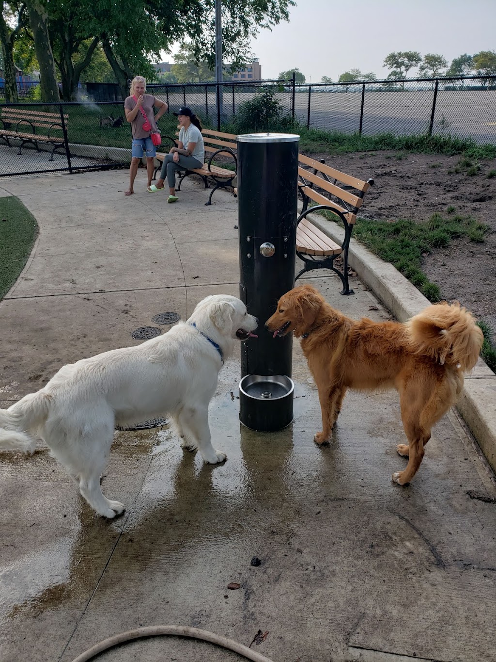 Manhattan Beach Dog Run | Park Ave, Brooklyn, NY 11235, USA | Phone: (212) 639-9675