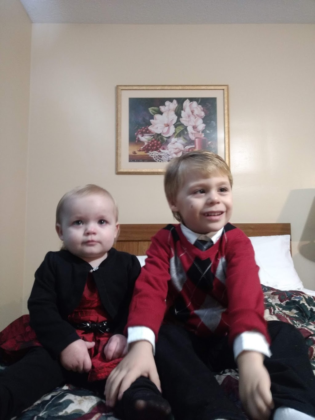 Dollingers Courtyard | 11360 Maple Ridge Rd, Medina, NY 14103, USA | Phone: (585) 798-0016